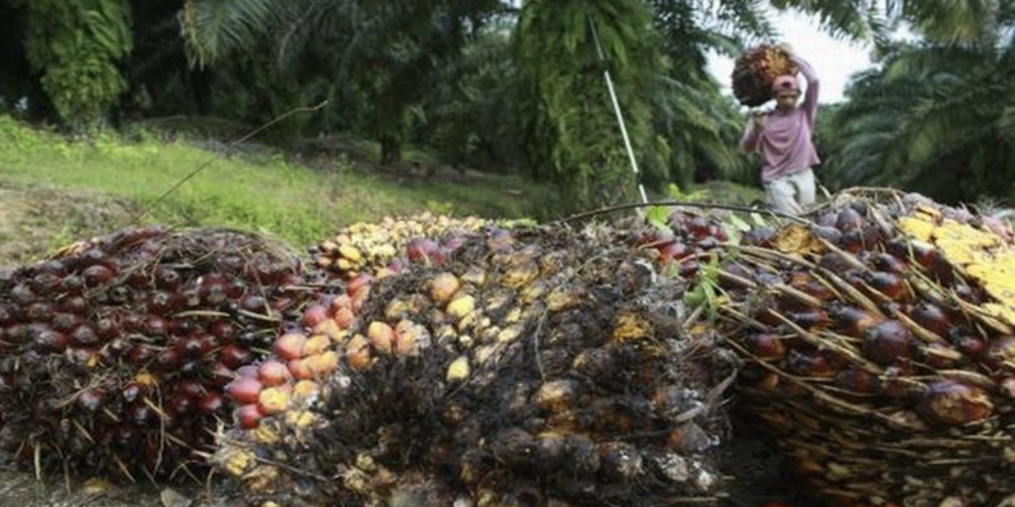 Sumbang Devisa Rp Triliun Begini Cara Ri Kampanye Positif Industri