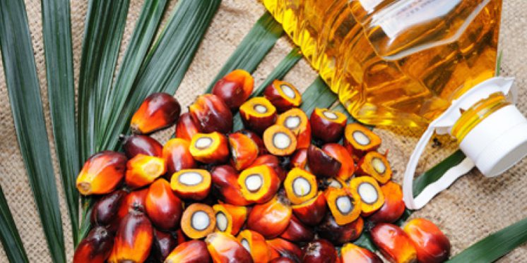 Indonesia Palm Association Says B40 Biodiesel Mandate May Be Delayed ...