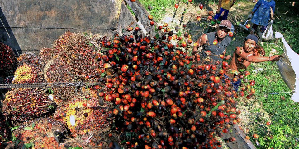 Asean Leads by Example in Sustainable Vegetable Oil: Indonesia – Astra ...