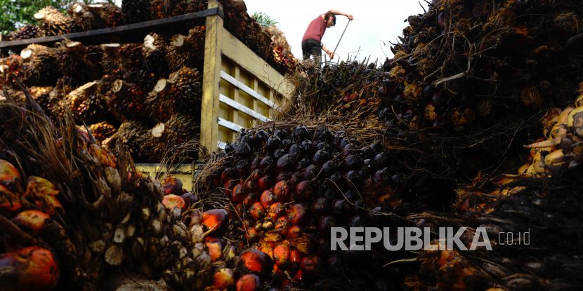 Kelapa Sawit Berkelanjutan Dinilai Menjanjikan – Astra Agro Lestari