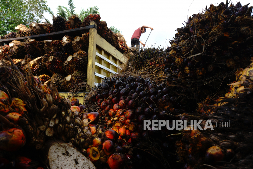 Kelapa Sawit Berkelanjutan Dinilai Menjanjikan – Astra Agro Lestari