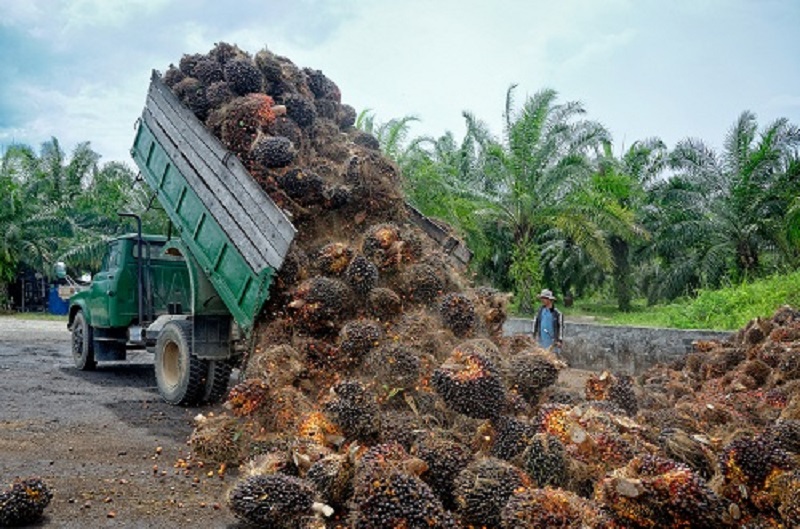 Juli 14, 2021 – Astra Agro Lestari