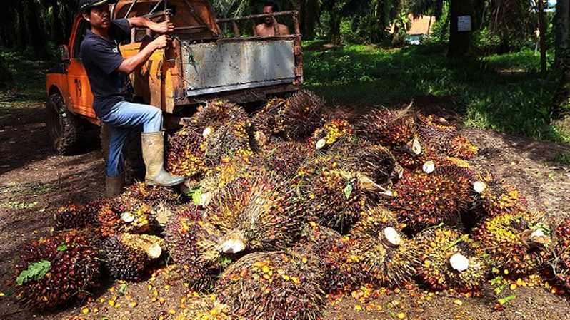 Lindungi Industri Sawit Dari Kampanye Negatif – Astra Agro Lestari