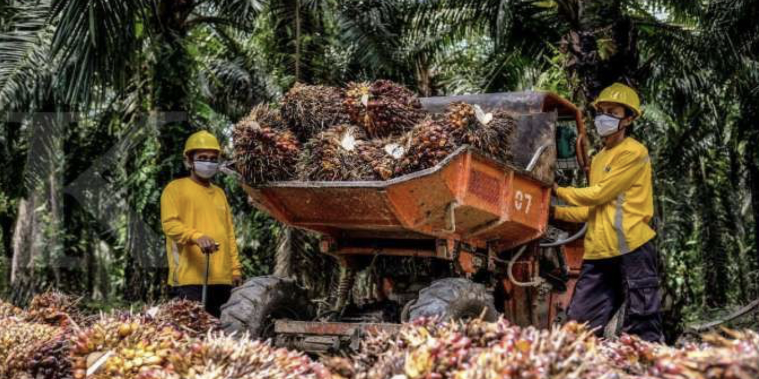 Astra Agro Lestari (AALI) Menargetkan Net Zero Emission – Astra Agro ...